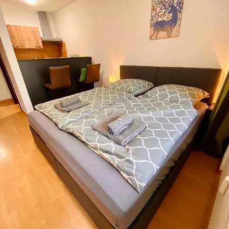 Apartment Schafberg Nahe Zentrum Einzimmer Bad Ischl